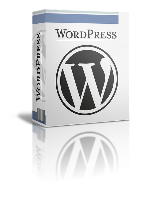 wordpress-search-plugin-640x480-69375932.png