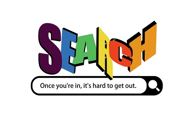 ecommerce site search