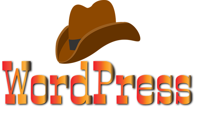 wordpress-plugin-chatbot-640x480-27342613.png