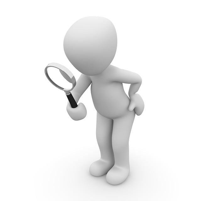 wordpress plugin for search