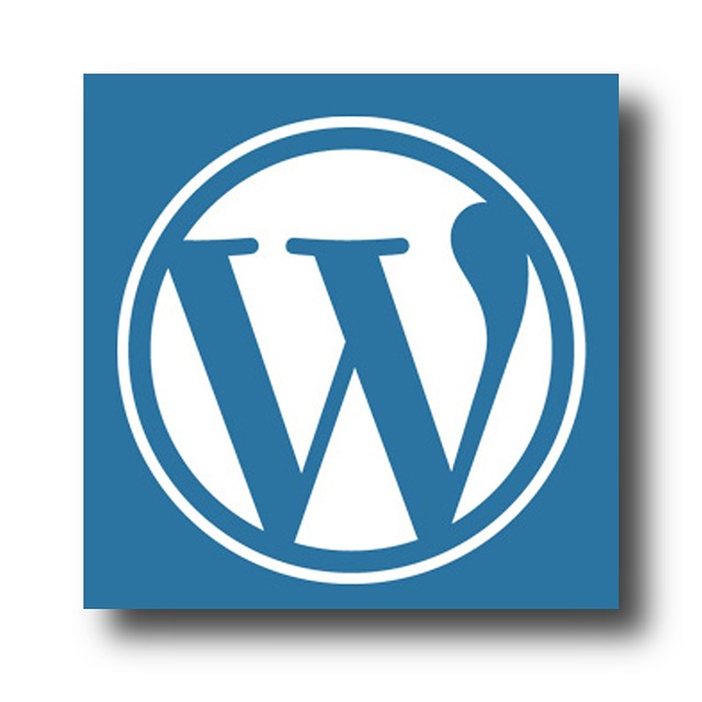 wordpress search plugin