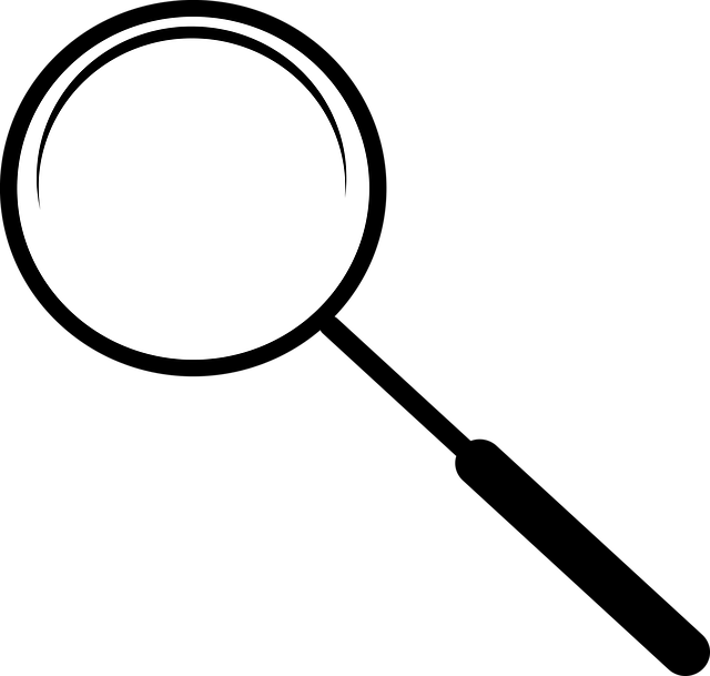 wordpress-search-640x480-30561695.png
