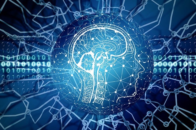artificial-intelligence-search-640x480-24603674.jpeg