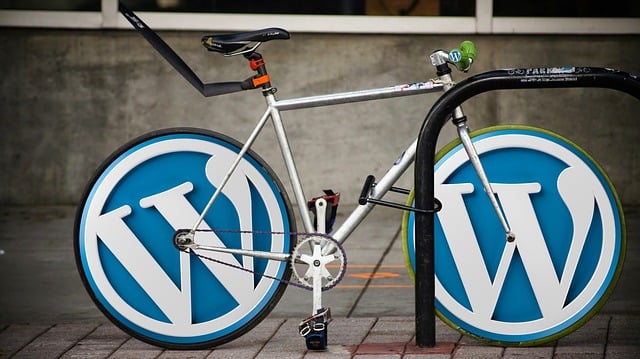chatbot-wordpress-640x480-8391563.jpeg
