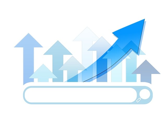 ecommerce site search