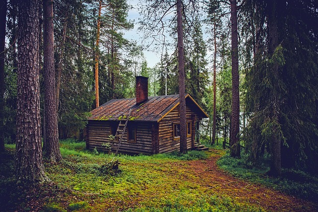 home-repair-640x480-6146868.jpeg