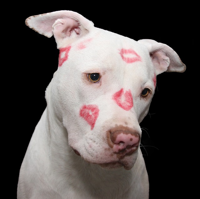 organic-lipstick-640x480-48450411.jpeg
