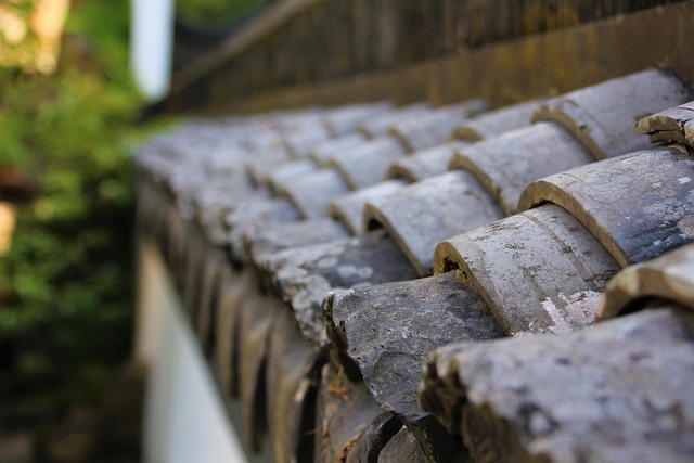 roofing-contractors-that-finance-640x480-76645994.jpeg