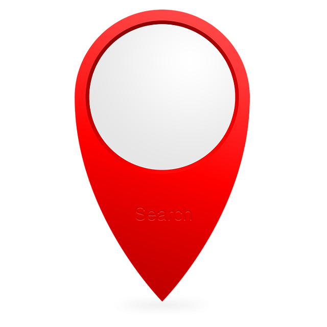what is search intelligence