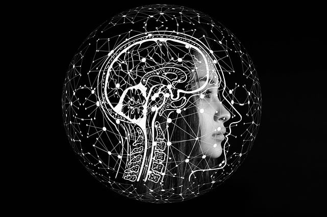 what is search intelligence