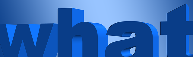 what is search intelligence