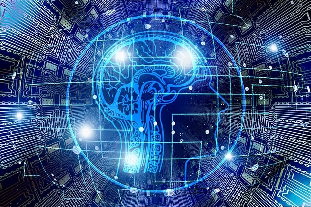 what-is-search-intelligence-640x480-86358168.jpeg
