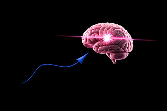 what is search intelligence