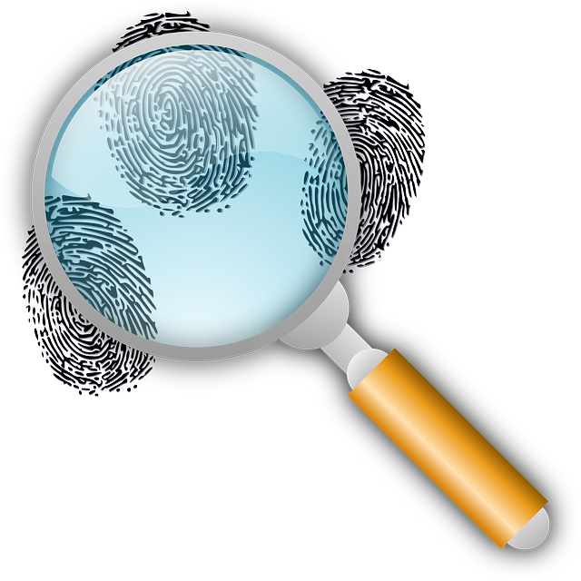 woocommerce search bar