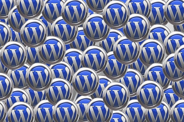 wordpress-chatbot-ochatbot-640x480-31365570.jpeg