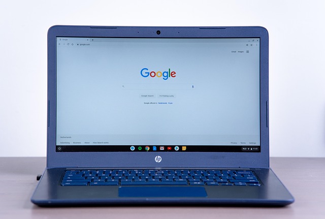 wordpress search