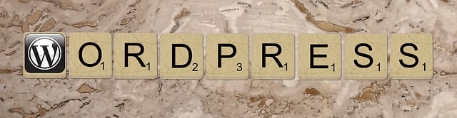wordpress-search-640x480-82737198.jpeg