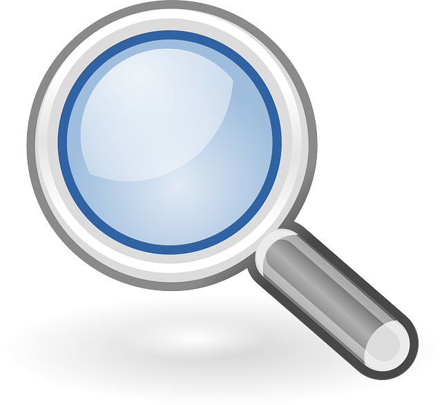 wordpress search plugin