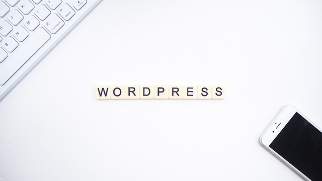 wordpress search plugin