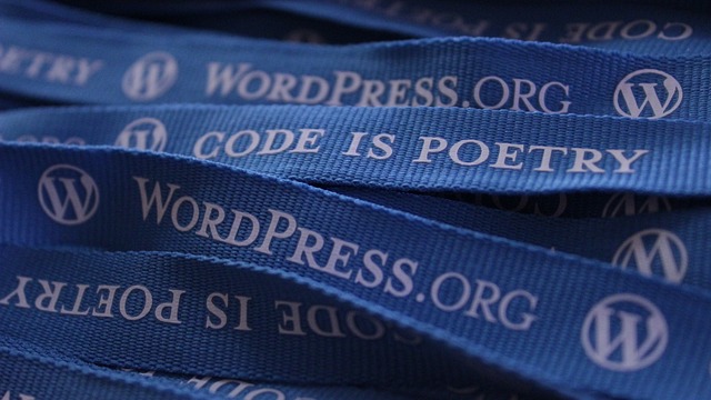 wordpress-search-plugin-640x480-85262574.jpeg
