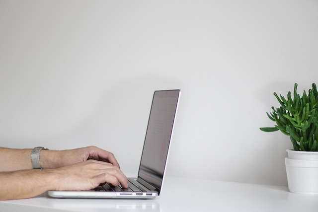 ai chatbots online