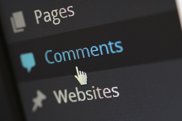 chatbot wordpress