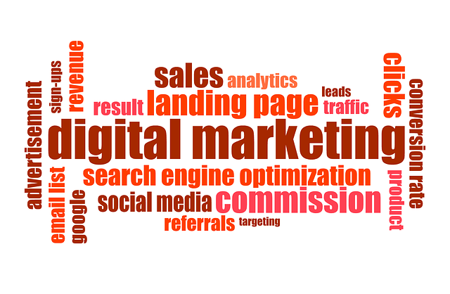 ecommerce-search-engine-640x480-34657813.png