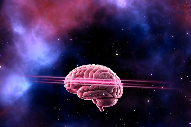 search-intelligence-platform-640x480-56225517.jpeg