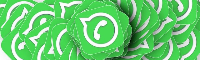 shopify search app
