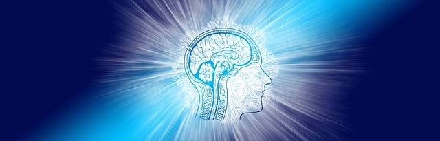 what is search intelligence