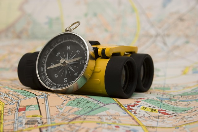 woocommerce search