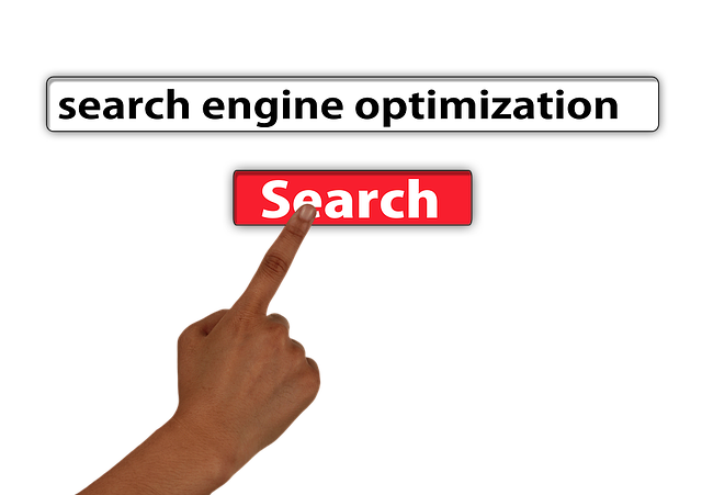 wordpress plugin for search