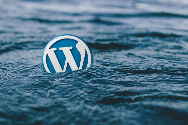 wordpress search plugin