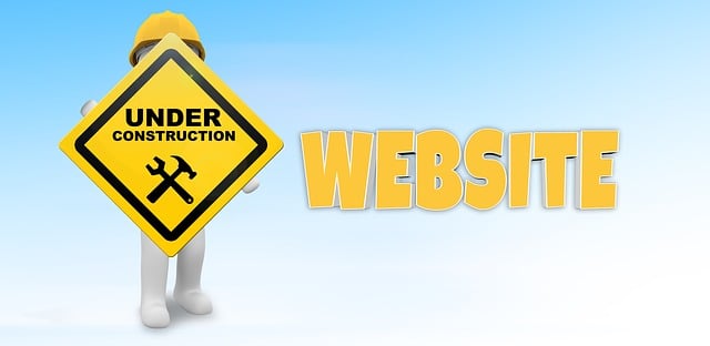 ecommerce site search