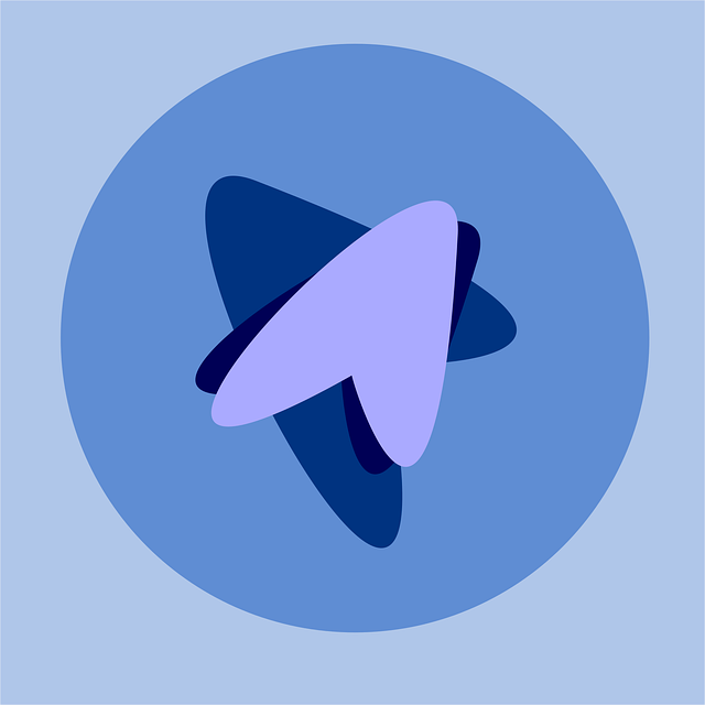 search app shopify