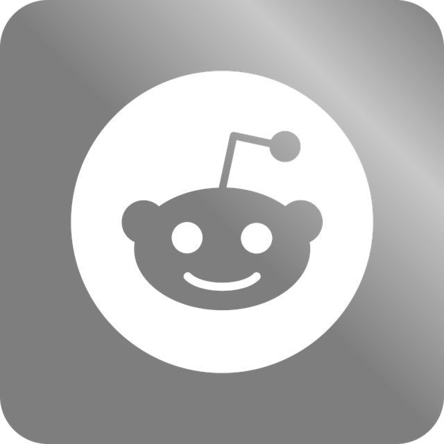 shopify search app