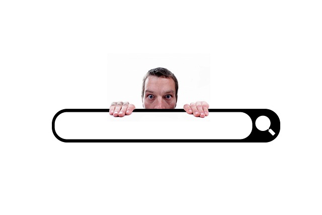 woocommerce-search-bar-640x480-75819091.jpeg
