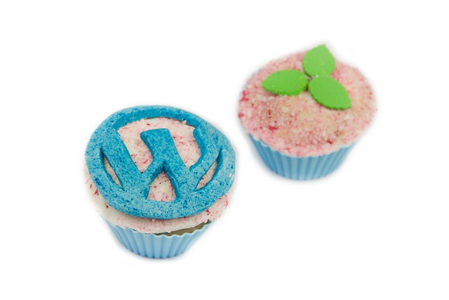 wordpress search