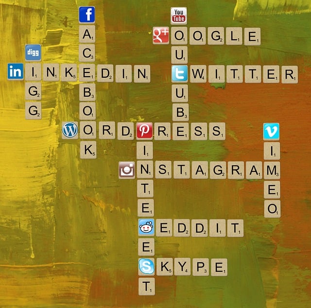 wordpress search plugin