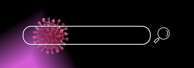 wordpress search plugin