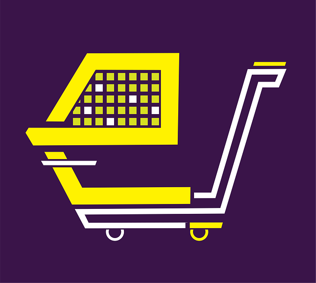 ecommerce-site-search-640x480-3009975.png