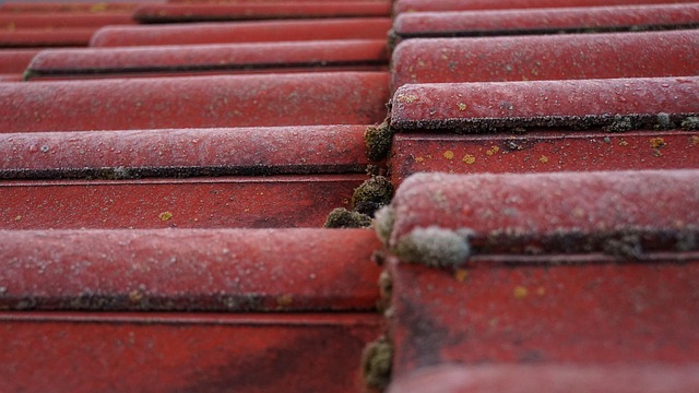 roofing contractors that finance
