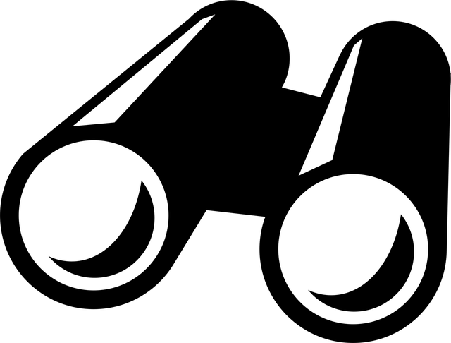 search and discovery app shopify
