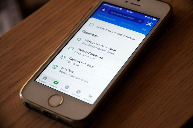 search app shopify