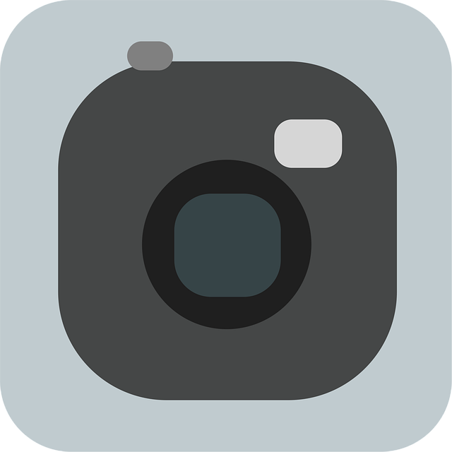 search app shopify