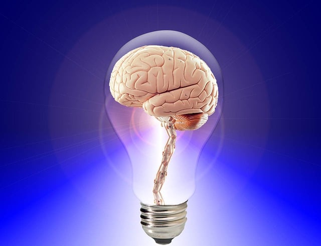 search intelligence solution