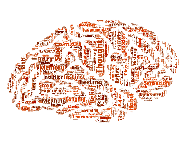 search intelligence solution