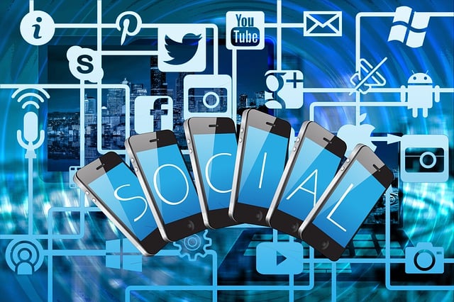 shopify-search-app-640x480-30852220.jpeg